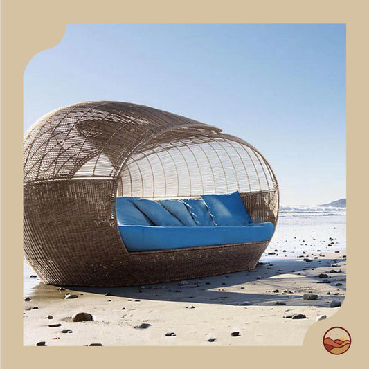 Sharq Series - Socotra