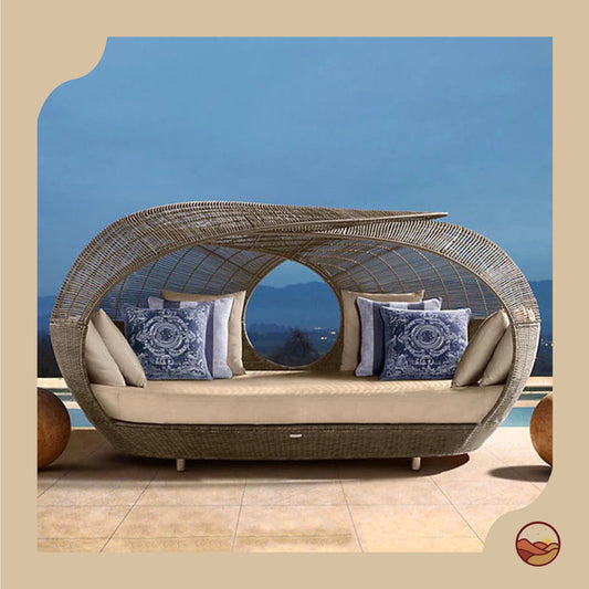 Sharq Series - Socotra